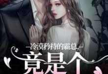 冷漠矜持的霸总，竟是个纯爱战士精彩章节在线免费阅读（宋诗予段斯昀）-筷子文学