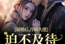 退婚后,冷面大佬迫不及待要娶我精彩章节阅读(黎九霍骁)免费阅读大结局-筷子文学