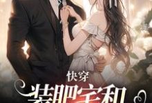 精彩章节阅读快穿：装肥宅和男主网恋后(泠宝桑泠)免费小说在线看-筷子文学