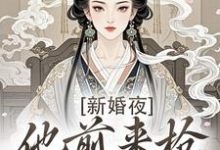 新婚夜，他前来抢夺我的心热门小说(温棠谢云州)在线阅读无弹窗-筷子文学
