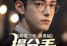 跪求主角是苏清荷沈砚的小说书名叫什么-筷子文学