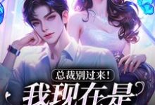 陆绾绾沈俞瑾小说的结局在哪可以看，总裁别过来！我现在是事业上升期免费阅读完结版-筷子文学