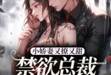小娇妻又撩又甜,禁欲总裁宠上瘾在线看,江熹季向聿小说大结局在哪免费看-筷子文学