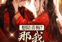 想陪青梅？那我直接改嫁免费阅读，苏亦闻叶子清大结局无弹窗-筷子文学