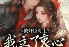 求助这本被奸臣盯上？我立了衷心小弟人设！小说在哪里可以看完结版-筷子文学