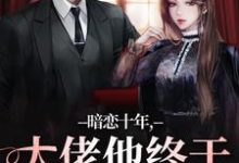 沈清沅贺景川小说免费阅读最新章节列表,暗恋十年,大佬他终于持证上岗了小说在线看-筷子文学