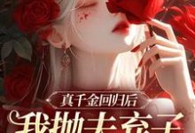 真千金回归后,我抛夫弃子独自美丽无弹窗苏黎陆敬煊最新章节列表-筷子文学