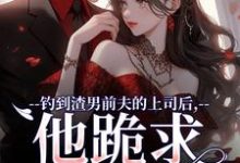 钓到渣男前夫的上司后,他跪求放过(苏锦萧云锋)最新章节免费阅读-筷子文学