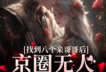 找到八个亲哥哥后，京圈无人敢惹她在线看，叶小汐叶以辰小说大结局在哪免费看-筷子文学