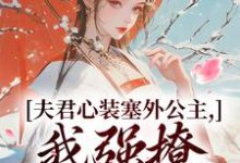 夫君心装塞外公主，我强撩也能到手完结版叶锦意萧凛渊免费阅读大结局-筷子文学