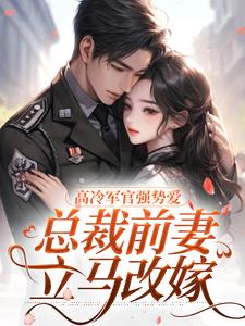 主角是杨念念陆文彬的小说高冷军官强势爱，总裁前妻立马改嫁在哪免费看