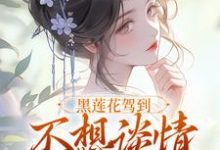 黑莲花驾到,不想谈情只想晋升(宁司寒林妩)最新章节免费在线阅读-筷子文学