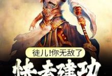 跪求主角是叶风的小说书名叫什么-筷子文学