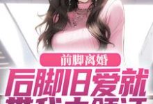 求助这本前脚离婚，后脚旧爱就带我去领证小说在哪里可以看完结版-筷子文学