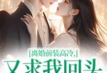 离婚前装高冷,又求我回头做什么小说最新章节在哪里可以免费看-筷子文学