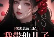 抹去总裁记忆，我带他儿子回苗寨（裴景澈梨尤笙）最新章节在线阅读-筷子文学