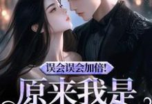 误会误会加倍！原来我是他的挚爱在线看，宁穗季晏辞小说大结局在哪免费看-筷子文学