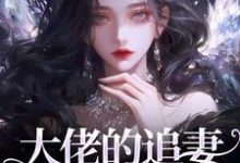 大佬的追妻火葬场：晚了，姐不稀罕精彩章节在线免费阅读（姜沁笙纪怀舟）-筷子文学