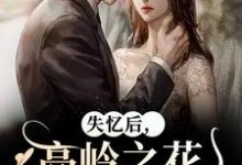 失忆后,高岭之花他又撩又哄免费阅读(黎漾裴政臣)小说免费读最新章节-筷子文学