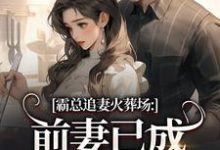 (全文)霸总追妻火葬场:前妻已成人间富贵花免费小说全本,秦桑傅霆深试读更新章节-筷子文学
