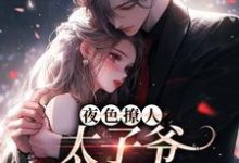 夜色撩人,太子爷为她乱了心楚璃徐砚周完结小说推荐,夜色撩人,太子爷为她乱了心全章小说阅读-筷子文学