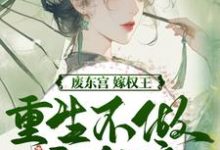 商子焱苏以卿废东宫,嫁权王,重生不做乖女娘全本免费在线阅读-筷子文学