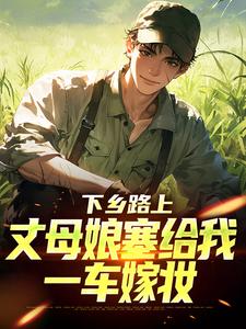 下乡路上，丈母娘塞给我一车嫁妆完整版小说，下乡路上，丈母娘塞给我一车嫁妆林辰宋雨试读更新章节