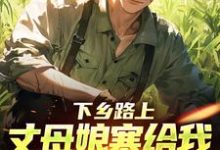 下乡路上,丈母娘塞给我一车嫁妆最新章节阅读下乡路上,丈母娘塞给我一车嫁妆(林辰宋雨)试读更新章节-筷子文学