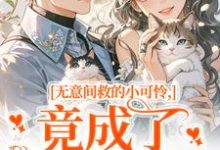 无意间救的小可怜，竟成了京都大佬（晏离权时泽）全章小说阅读-筷子文学