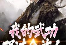 完了！我的武功强过全族人完整版小说，完了！我的武功强过全族人林枫苏清雪试读更新章节-筷子文学