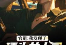 (全文)官道：我发现了顶头女上司的秘密（徐青胡丽娜）全本书籍阅读官道：我发现了顶头女上司的秘密免费小说全本-筷子文学
