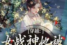 穿越:女战神她被尊主俘获了完整版小说穿越:女战神她被尊主俘获了(云澜夜无溟)全章小说阅读-筷子文学