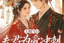 大婚当日,夫君为爱冲刺救白月光林菀堂萧睿川试读更新章节大婚当日,夫君为爱冲刺救白月光林菀堂萧睿川免费小说-筷子文学