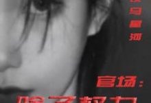 (全文)官场：除了权力还有啥丁俊丰贺征小说推荐，官场：除了权力还有啥全章小说阅读-筷子文学