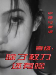 官场：除了权力还有啥完整版小说，官场：除了权力还有啥丁俊丰贺征全章小说阅读