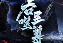 吞噬圣尊推荐完结小说，吞噬圣尊夜星寒免费小说全本-筷子文学