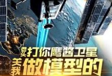 (全文)老头打你鹰酱卫星，关我做模型的什么事（秦阳）试读更新章节老头打你鹰酱卫星，关我做模型的什么事免费小说-筷子文学