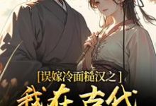 误嫁冷面糙汉之我在古代当小媳妇推荐完结小说误嫁冷面糙汉之我在古代当小媳妇(苏琴岑殷闵)免费小说全本-筷子文学