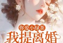 你爱小绿茶，我提离婚你急什么推荐完结小说你爱小绿茶，我提离婚你急什么(陆应淮苏晴好)免费小说全本-筷子文学