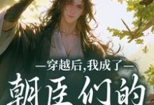 (全文)穿越后，我成了朝臣们的心头宠热门小说排行榜，穿越后，我成了朝臣们的心头宠夜阮阮陈烟儿全章小说阅读-筷子文学