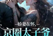 娇妻在怀,京圈太子爷低头诱宠热门小说排行榜娇妻在怀,京圈太子爷低头诱宠苏渝穆寒昭免费小说全本-筷子文学