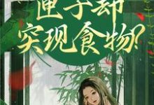 (全文)我在古代闹饥荒，匣子却突现食物？免费小说全本，顾南枝沈之念试读更新章节-筷子文学