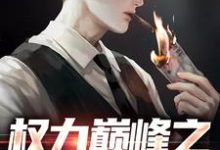 (全文)权力巅峰之红色仕途张文定小说推荐，权力巅峰之红色仕途全章小说阅读-筷子文学
