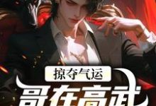 掠夺气运,哥在高武世界赢麻了完整版小说,掠夺气运,哥在高武世界赢麻了沈无萧全章小说阅读-筷子文学