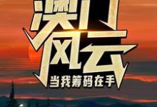 王东曼丽澳门风云:当我筹码在手全本免费在线阅读-筷子文学
