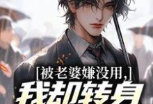 (全文)被老婆嫌没用，我却转身成了首富！唐仁林紫嫣最新完结小说被老婆嫌没用，我却转身成了首富！免费阅读-筷子文学