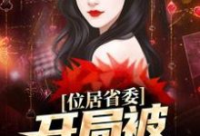 位居省委，开局被妻子举报（苏玉黎锦）小说推荐位居省委，开局被妻子举报全章小说阅读-筷子文学
