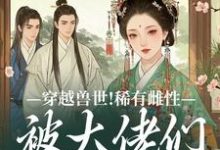 穿越兽世!稀有雌性被大佬们跪地求宠热门小说排行榜穿越兽世!稀有雌性被大佬们跪地求宠望初漠夏免费小说全本-筷子文学