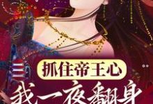 (全文)抓住帝王心，我一夜翻身成宠妃萧煜沈芙全本免费在线阅读-筷子文学