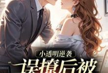 小透明逆袭:误撩后被大佬宠上天最新完结小说小透明逆袭:误撩后被大佬宠上天许惟昭方肃礼免费小说-筷子文学
